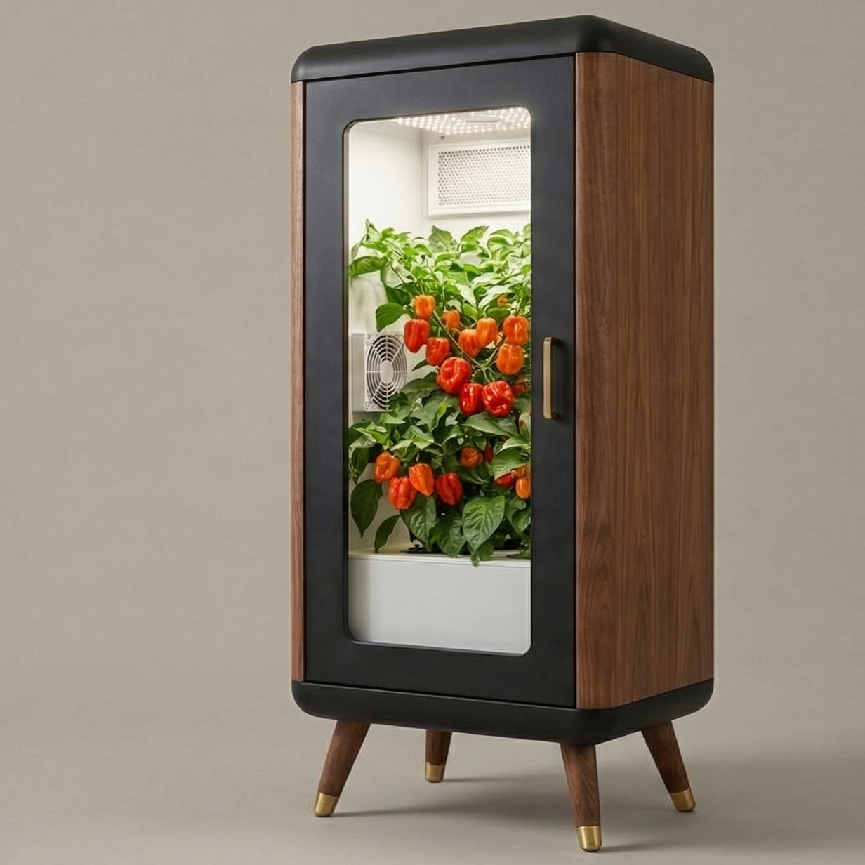 The Vault — interactive feature exploration